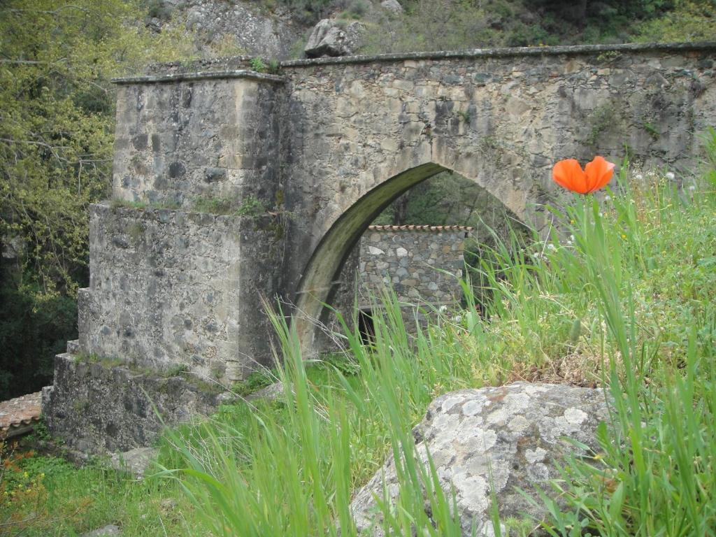 Gasthaus Archontiko I Misirlou Kalopanagiotis Exterior foto
